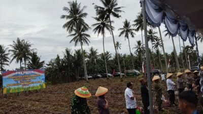 fd16acc0-c9f6-4bb6-a6ce-541c352a87a5