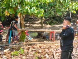 Motivasi Babinsa Koramil 1315-01/Telaga Dalam Pendampingan Jembatan Perintis Dorong Hasil Maksimal