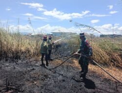 Kebakaran Lahan Semak Ilalang Di Desa Tabumela Segera Ditangani Babinsa Koramil 1315-01/Telaga Bersama Petugas Pemadam Kebakaran