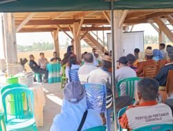 Mewakili Danramil Telaga, Babinsa Hadiri Musyawarah Hambur Tanam Padi Bersama Petani Dan Pemerintah Daerah