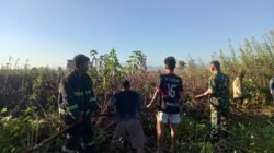 Koramil 1315-01/Telaga Respons Cepat Kebakaran Semak Ilalang Amankan Warga Desa Tilote Dari Ancaman Api Meluas
