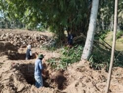 Pendampingan Babinsa Koramil 1315-05/Boliyohuto Perkuat Pembangunan Jembatan Perintis Garuda Di Desa Bululi Kecamatan Asparaga Gorontalo
