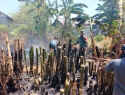 Kebakaran Lahan Desa Dulomo, Tiga Personel Koramil 1315-01/Telaga Turut Bantu Proses Pemadaman Api