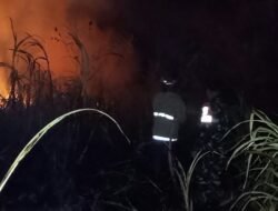 Tiga Personel Koramil Telaga Turun Langsung Bantu Padamkan Kobaran Api Lahan Warga Pentadio Barat
