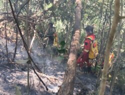 Api Melanda Cagar Alam Tangale, Koramil 1315-04 Tibawa Bersama Warga Bergerak Cepat Kendalikan Kobaran