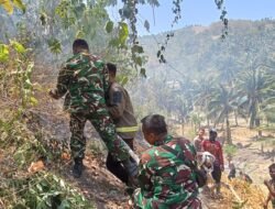Kebakaran Lahan Warga Botumoputi Ditangani Bersama, Personel Koramil 1315-04/Tibawa Turut Bantu Pemadaman Api
