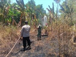 Gerak Cepat Koramil 1315-01 Telaga Bersama Damkar dan Warga Cegah Kebakaran Lahan Meluas Desa Tinelo
