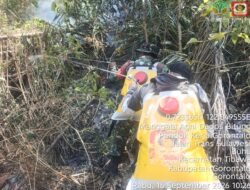 Kebakaran Cagar Alam Tangale, Dua Personel Koramil 1315-04/Tibawa Turut Bantu Proses Pemadaman Api