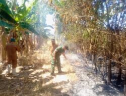 Kebakaran Lahan Tunggulo Mengancam Permukiman, Koramil 1315-02 Limboto Bersama Unsur Gabungan Bergerak Padamkan Api