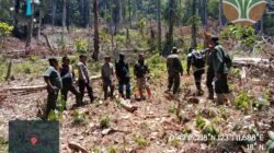 Patroli Gabungan Koramil 1315-01/Telaga Dan Dinas Kehutanan Sasar Kawasan Hutan Dulamayo Barat