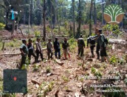 Patroli Gabungan Koramil 1315-01/Telaga Dan Dinas Kehutanan Sasar Kawasan Hutan Dulamayo Barat