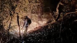 Kebakaran Lahan Warga Botumoputi Ditangani Bersama Oleh Koramil 1315-04/Tibawa Dan Masyarakat